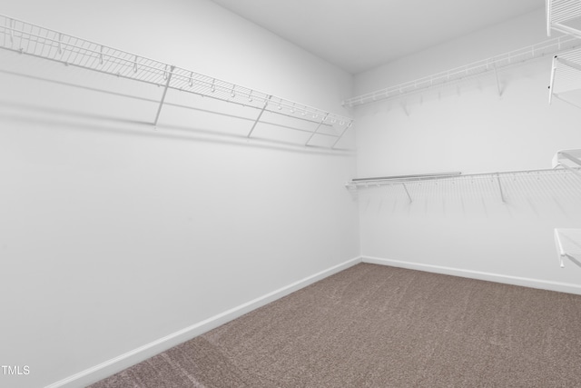 walk in closet with carpet