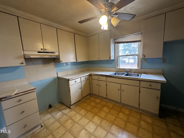 kitchen with sink and ceiling fan