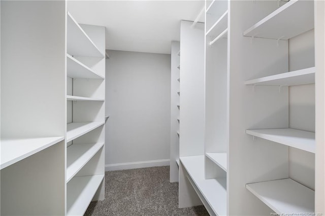 walk in closet with dark carpet