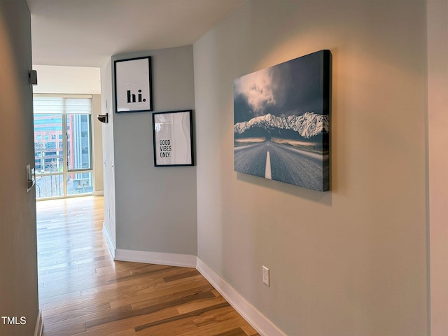 hall featuring hardwood / wood-style flooring