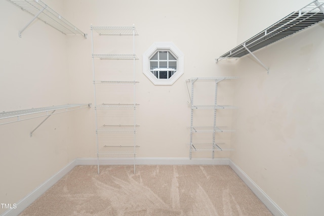 walk in closet featuring light colored carpet