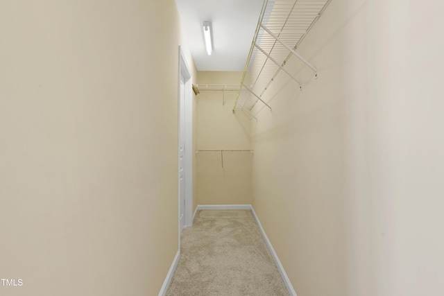 walk in closet with light carpet