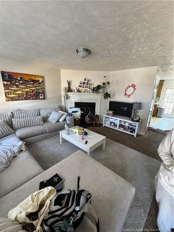 living room featuring carpet floors and a textured ceiling