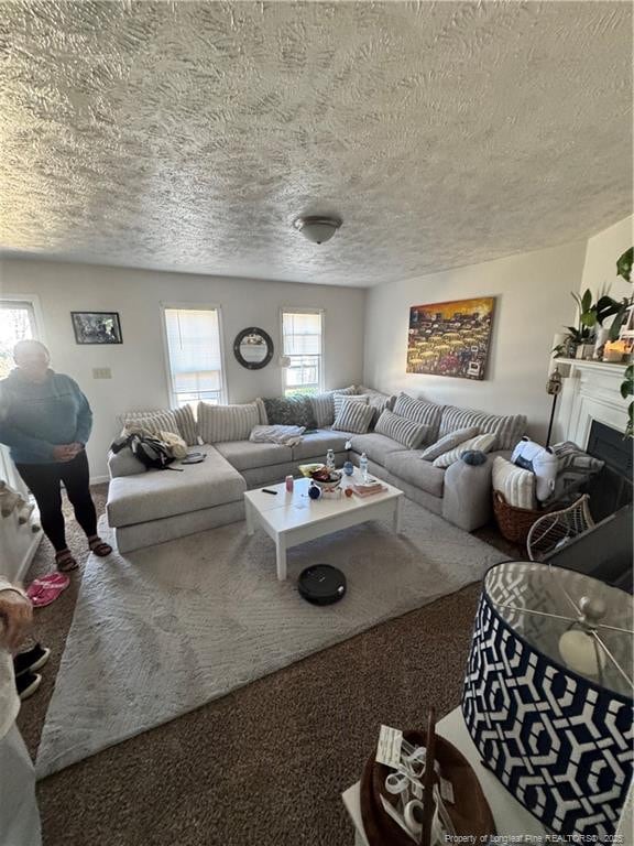 carpeted living room featuring a textured ceiling