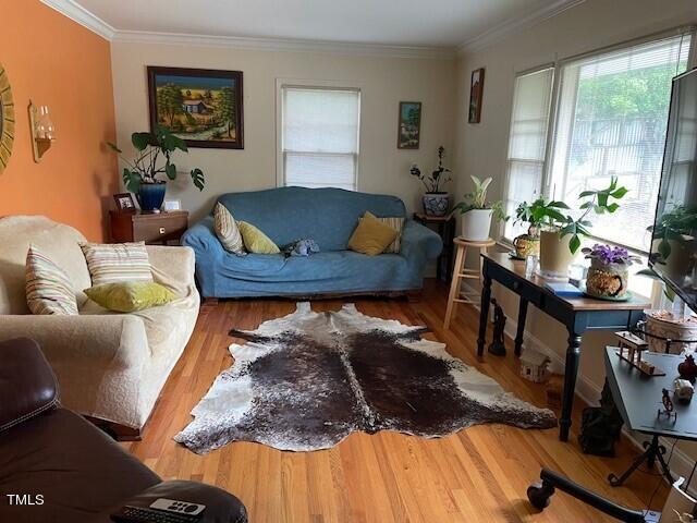 living room with crown molding and wood-type flooring