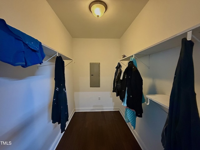 spacious closet featuring dark hardwood / wood-style flooring and electric panel