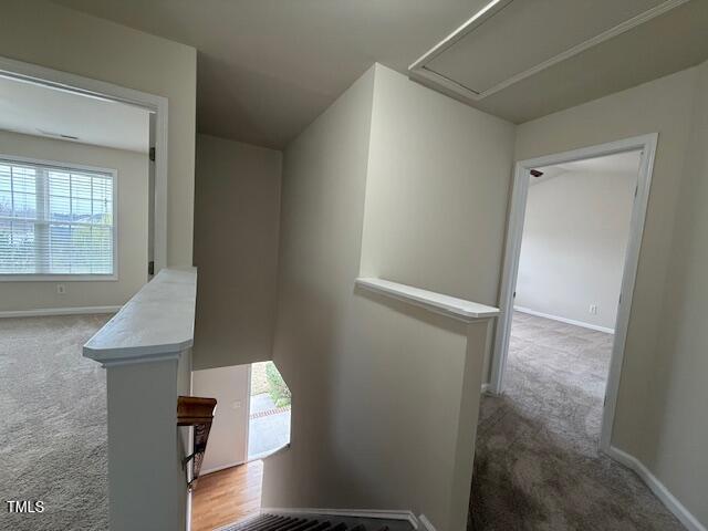 271 Mayors Ln, Wendell, NC 27591 - photo 20