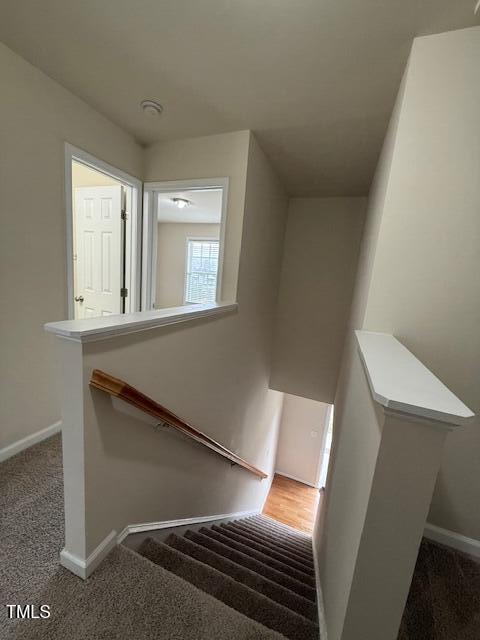271 Mayors Ln, Wendell, NC 27591 - photo 21
