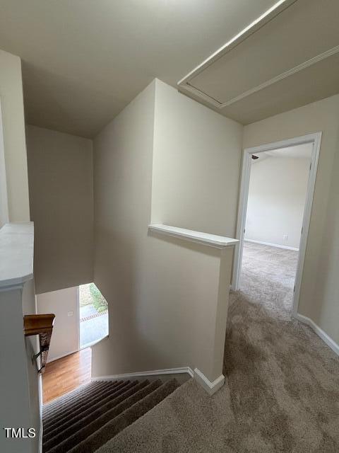271 Mayors Ln, Wendell, NC 27591 - photo 22
