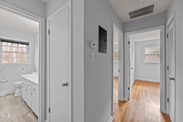 hall featuring electric panel and light hardwood / wood-style flooring