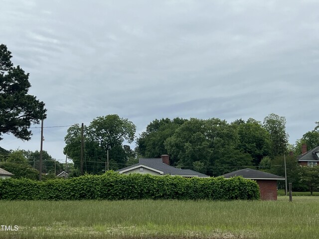 405 N Wilson Ave, Dunn, NC 28334 - view of yard