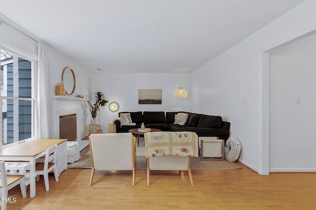 living room featuring light hardwood / wood-style floors