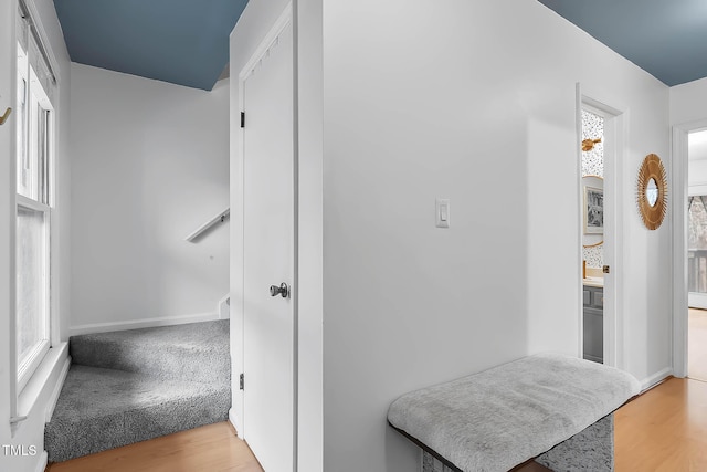 hallway with hardwood / wood-style floors