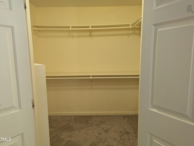 walk in closet with carpet