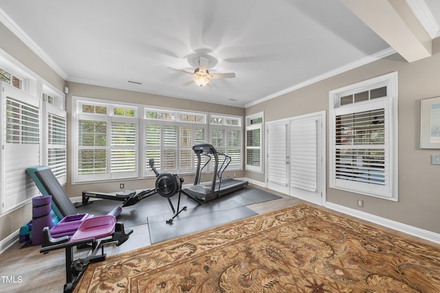 exercise room featuring crown molding and ceiling fan