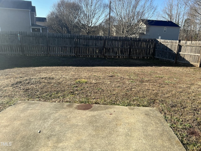 view of yard featuring a patio area