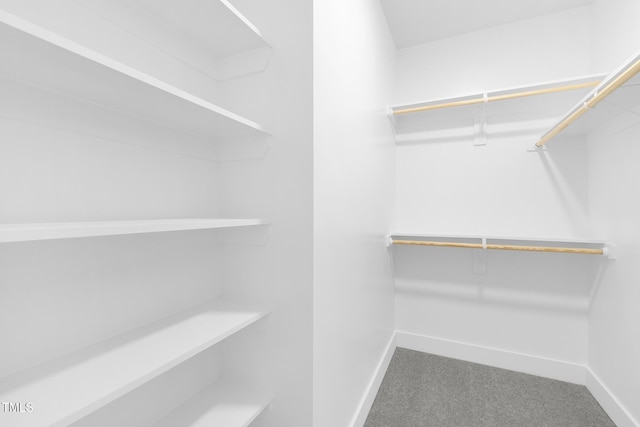 905 Myers Point Dr, Morrisville, NC 27560 - spacious closet featuring carpet flooring