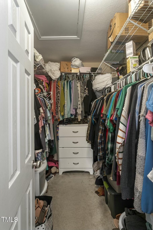 walk in closet with carpet flooring