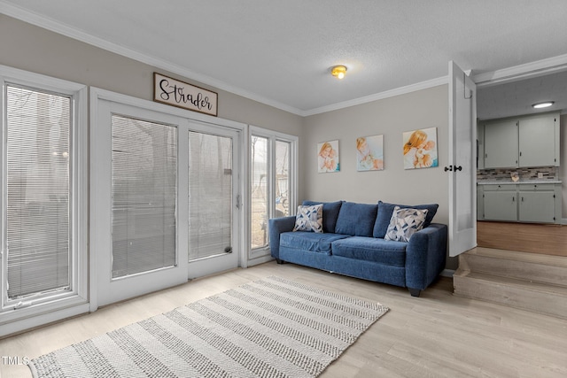 living room with crown molding, light hardwood / wood-style floors, and a textured ceiling