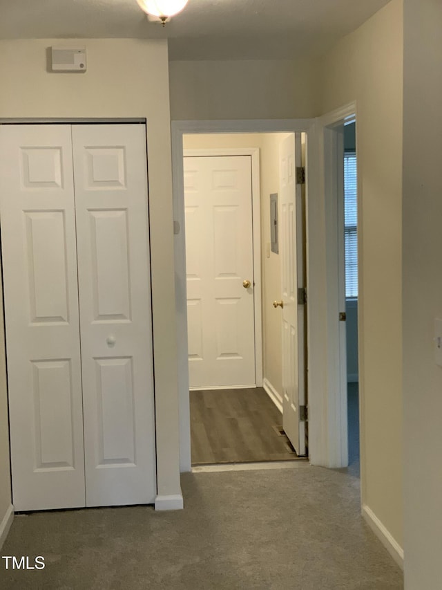 corridor with carpet flooring, electric panel, and baseboards