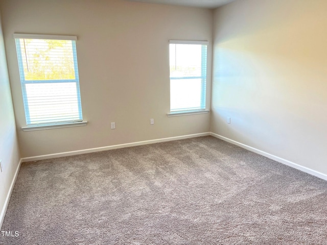 empty room featuring carpet floors