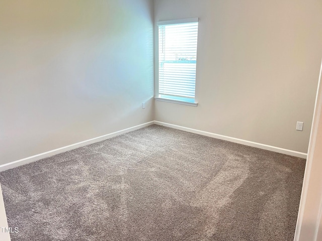 spare room featuring carpet flooring