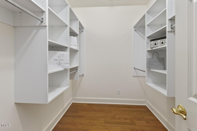 spacious closet featuring dark hardwood / wood-style flooring