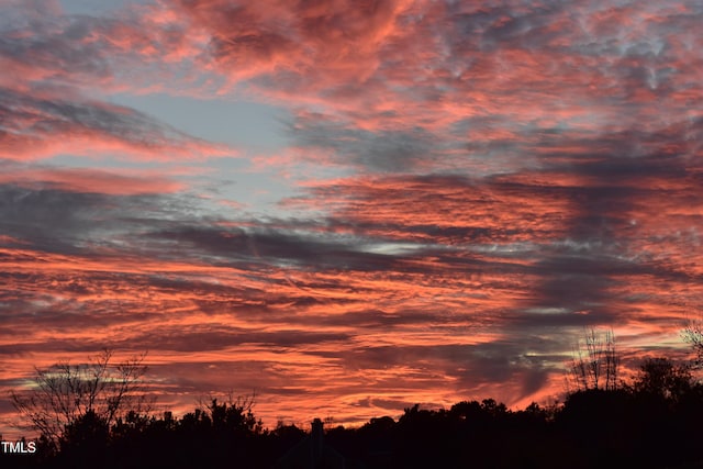 view of nature at dusk