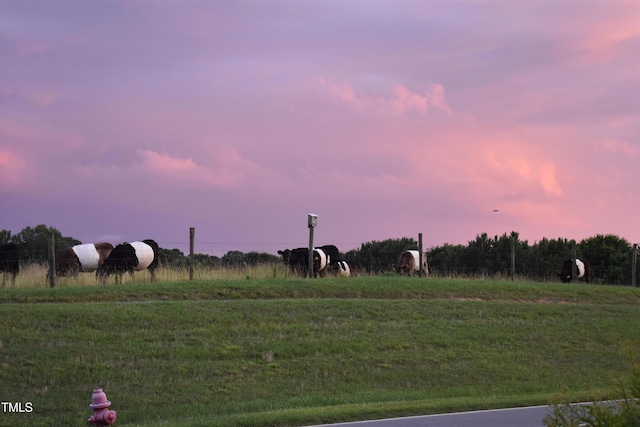 view of yard at dusk