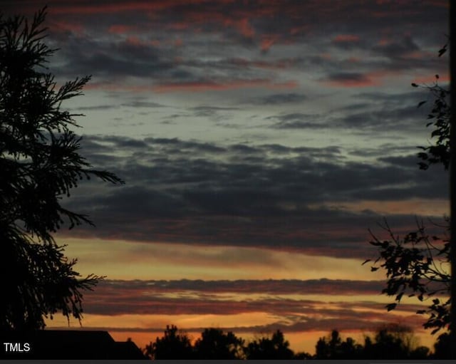 view of nature at dusk