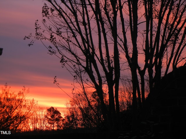 view of nature at dusk