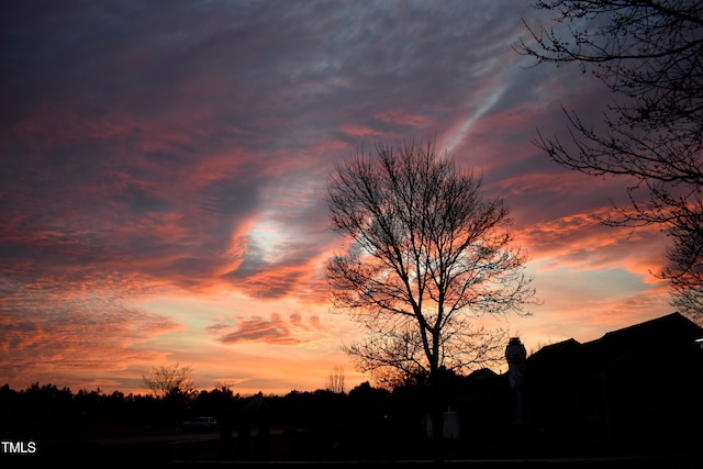 view of nature at dusk