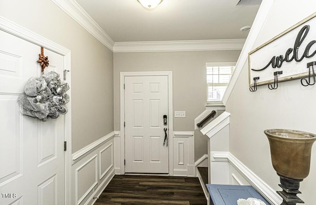 mudroom featuring crown molding and dark wood-type flooring