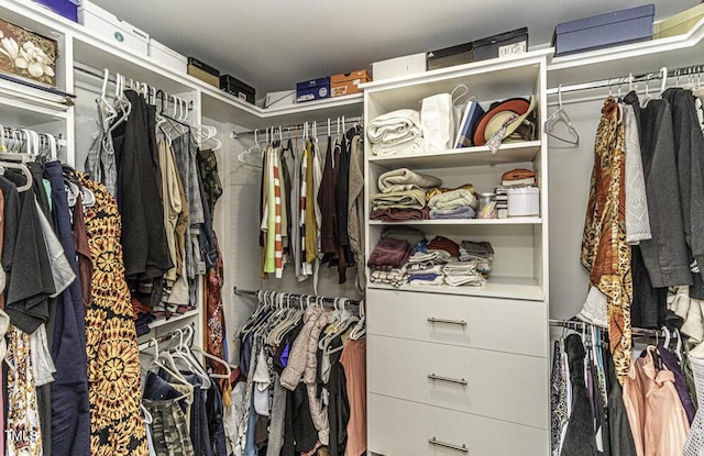 view of spacious closet