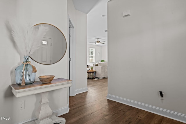 hall featuring dark hardwood / wood-style floors