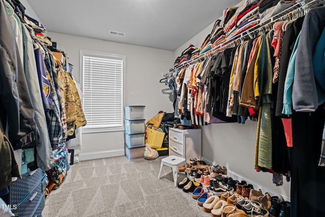 spacious closet with light colored carpet