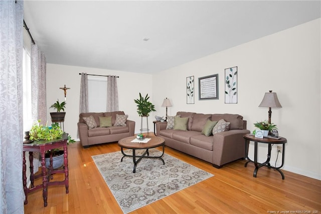 living room featuring wood-type flooring