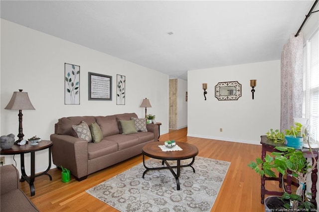 living room featuring hardwood / wood-style flooring