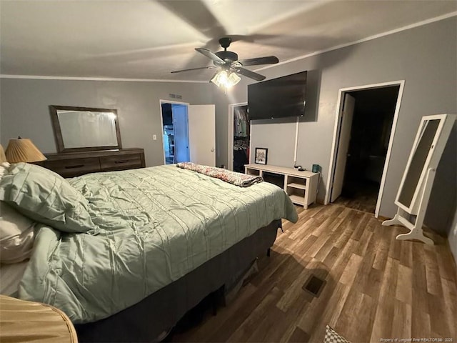 bedroom featuring crown molding, a walk in closet, dark hardwood / wood-style floors, and ceiling fan