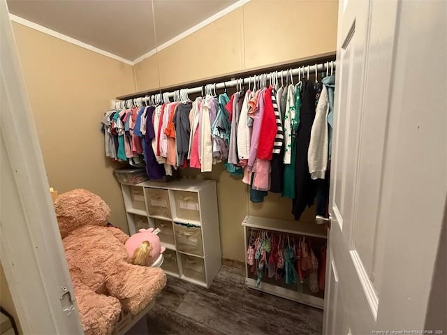 walk in closet with hardwood / wood-style floors