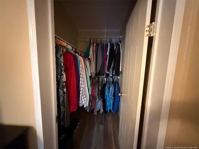 walk in closet with dark hardwood / wood-style flooring