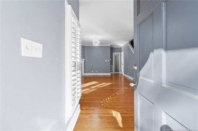 hall featuring hardwood / wood-style floors and crown molding