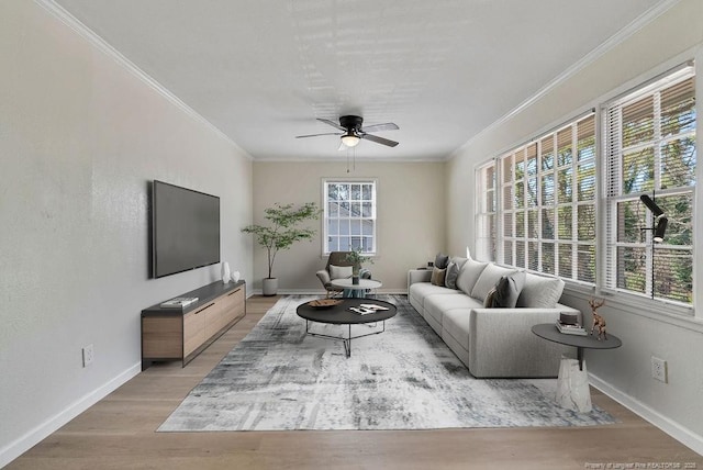 living area featuring ornamental molding, baseboards, and light wood finished floors