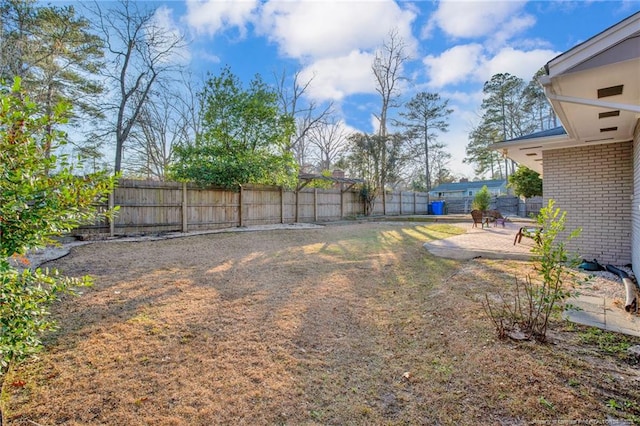 view of yard featuring a patio area