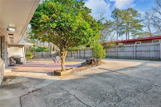 view of yard featuring a patio