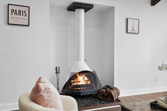 details featuring hardwood / wood-style floors and a wood stove