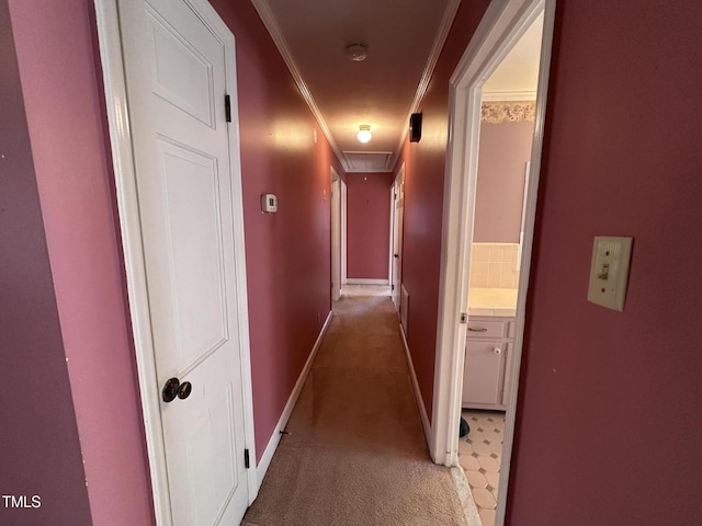 hallway with crown molding and carpet floors