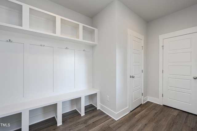 mudroom featuring dark wood-type flooring