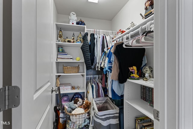 view of spacious closet