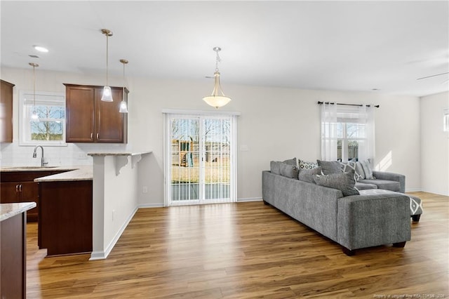 living room with dark wood-type flooring and sink